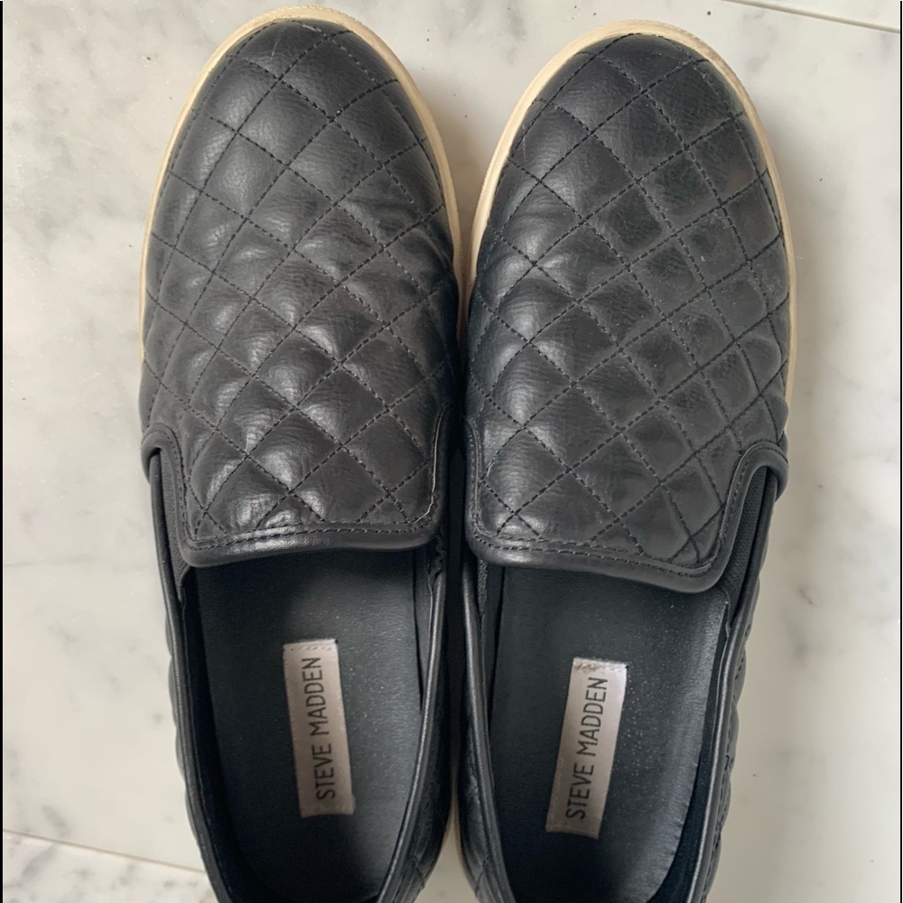 Steve Madden Ecentrcq Sneakers